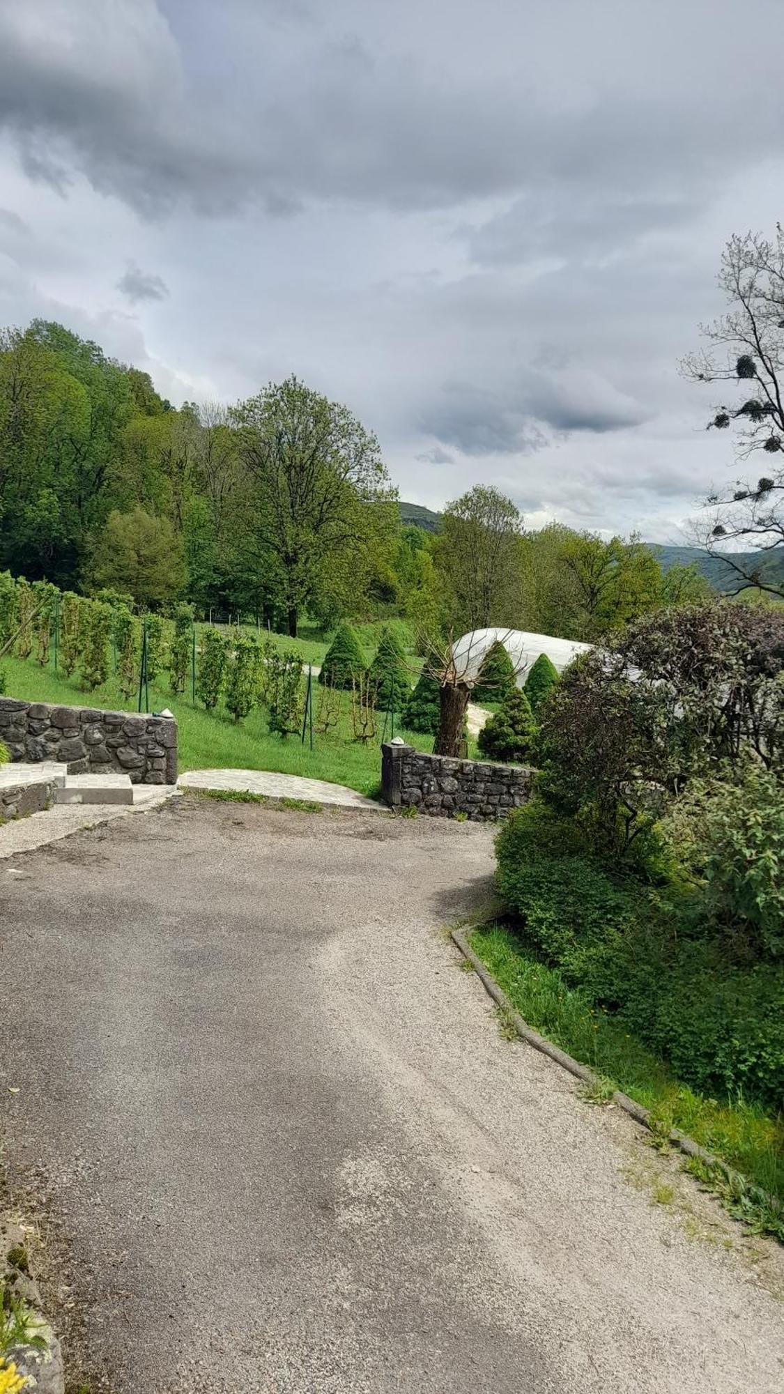 Chambre D'Hote La Maronne Dans Le Cantal Saint-Martin-Valmeroux Exterior photo